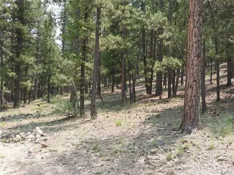 0 La Plata Ln, Pine, CO 80470 photo 12