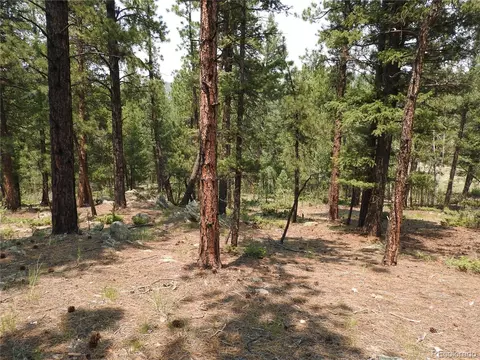 0 La Plata Ln, Pine, CO 80470 photo 23