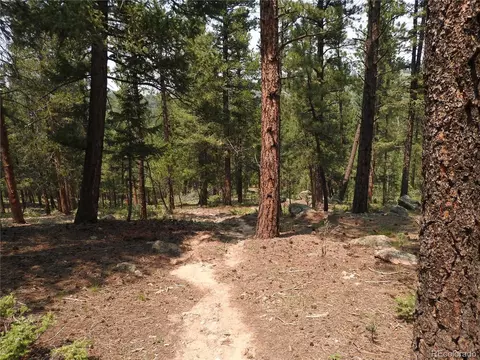 0 La Plata Ln, Pine, CO 80470 photo 18