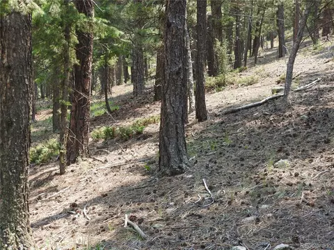 0 La Plata Ln, Pine, CO 80470 photo 7