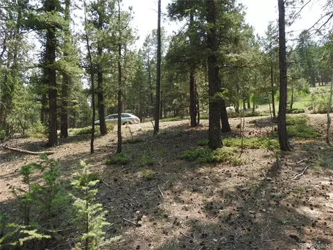 0 La Plata Ln, Pine, CO 80470 photo 24