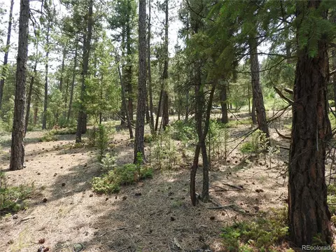 0 La Plata Ln, Pine, CO 80470 photo 20