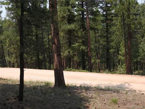 0 La Plata Ln, Pine, CO 80470 photo 5