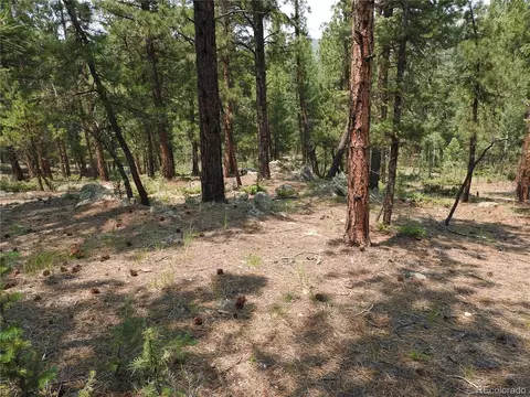 0 La Plata Ln, Pine, CO 80470 photo 21