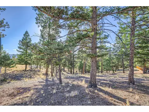37 Amanda Cir, Florissant, CO 80816