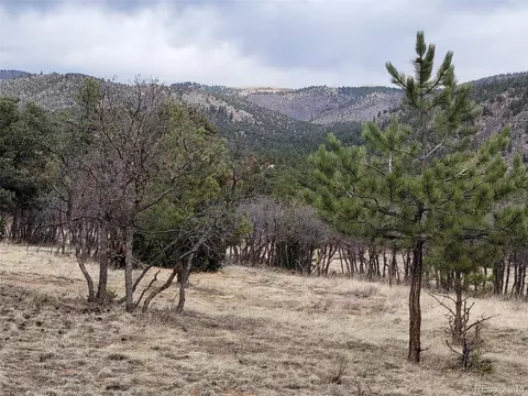37 Bird Point Dr, Cotopaxi, CO 81240