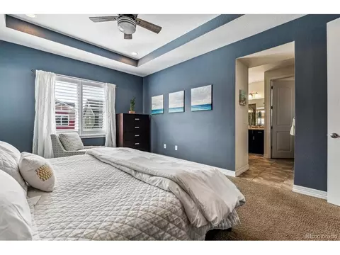 8461 E 54th Dr, Denver, CO 80238 photo 19