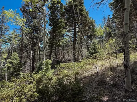 2348 Benton Pl, Fort Garland, CO 81133