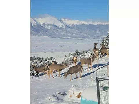Other - 32 Peerless Cir, Westcliffe, CO 81252 photo 11 of 15