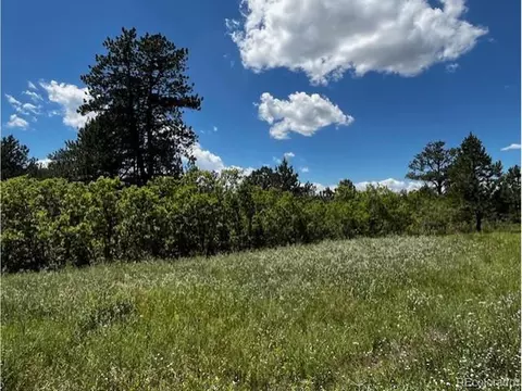 6993 Cinque Tail Dr, Larkspur, CO 80118