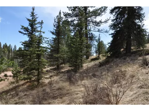 1181 E Bison Creek Trl, Divide, CO 80814 photo 21