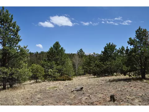 1181 E Bison Creek Trl, Divide, CO 80814 photo 19
