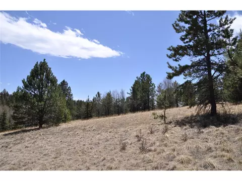 1181 E Bison Creek Trl, Divide, CO 80814 photo 2