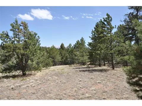 1181 E Bison Creek Trl, Divide, CO 80814 photo 18