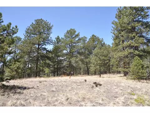 1181 E Bison Creek Trl, Divide, CO 80814 photo 6