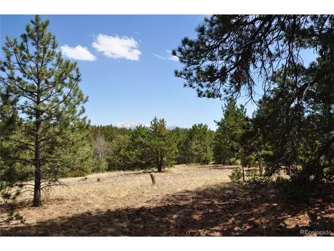 1181 E Bison Creek Trl, Divide, CO 80814 photo 17