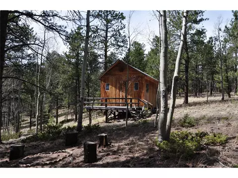 1181 E Bison Creek Trl, Divide, CO 80814 photo 1