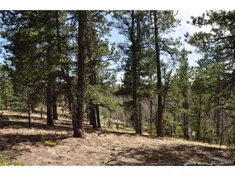 1181 E Bison Creek Trl, Divide, CO 80814 photo 16