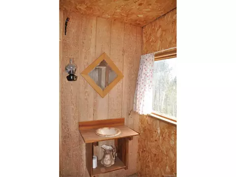 1181 E Bison Creek Trl, Divide, CO 80814 photo 14
