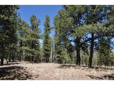 1181 E Bison Creek Trl, Divide, CO 80814 photo 5