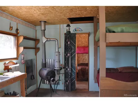 1181 E Bison Creek Trl, Divide, CO 80814 photo 7