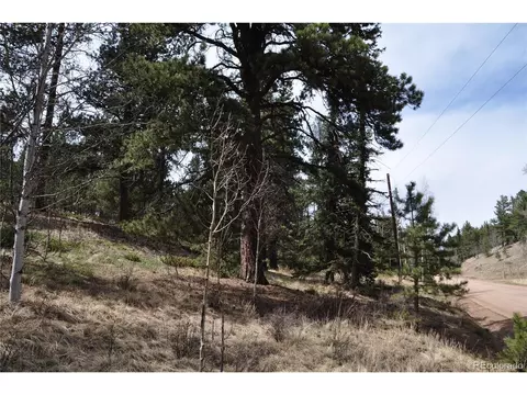 1181 E Bison Creek Trl, Divide, CO 80814 photo 22