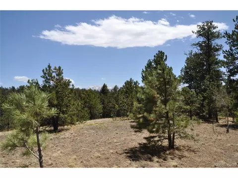 1181 E Bison Creek Trl, Divide, CO 80814 photo 4