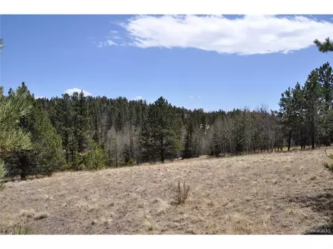 1181 E Bison Creek Trl, Divide, CO 80814 photo 3