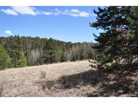1181 E Bison Creek Trl, Divide, CO 80814 photo 20