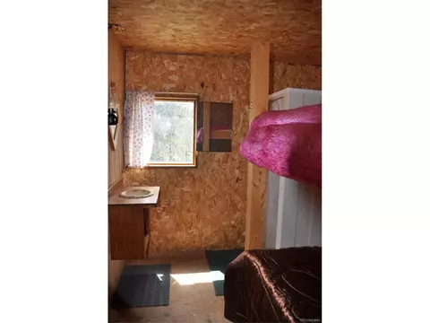 1181 E Bison Creek Trl, Divide, CO 80814 photo 13