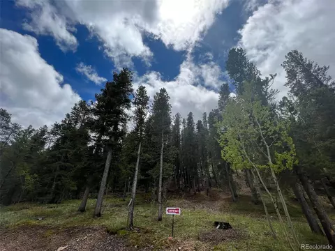 Dory Lakes Dr, Black Hawk, CO 80422 photo 7