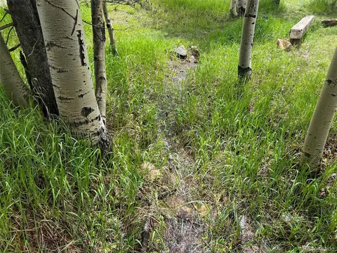 Dory Lakes Dr, Black Hawk, CO 80422 photo 13