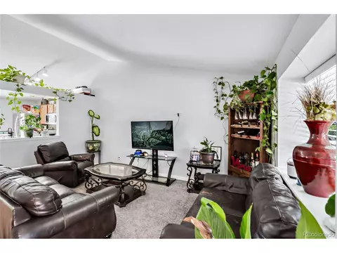 12164 Glencoe St, Thornton, CO 80241 photo 5