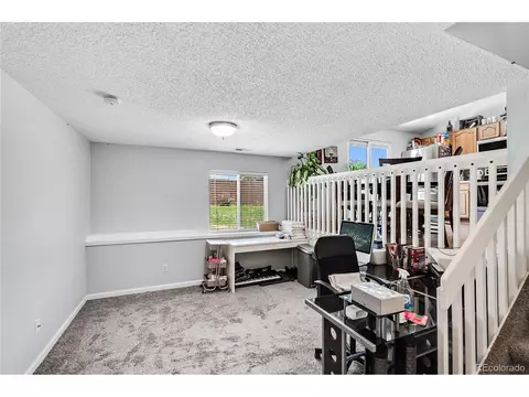 12164 Glencoe St, Thornton, CO 80241 photo 15