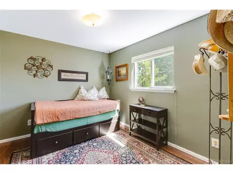 141 Summit Way, Bailey, CO 80421 photo 12