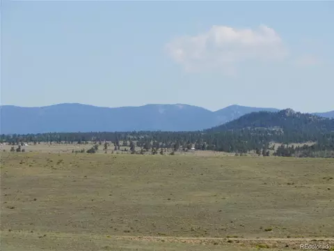 6071 Larimer Rd, Hartsel, CO 80449 photo 4