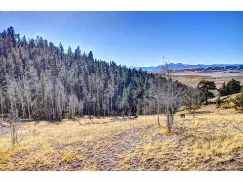 1403 Caracara Ln, Como, CO 80432 photo 4