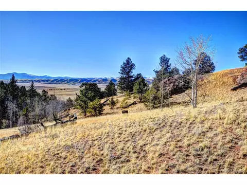 1403 Caracara Ln, Como, CO 80432 photo 6