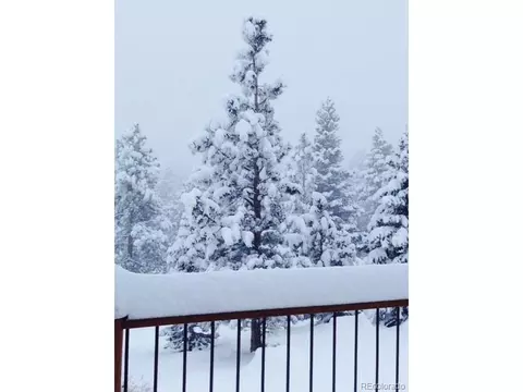 160 Nuthatch Dr, Cotopaxi, CO 81223 photo 40
