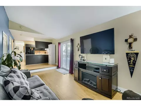 Living - 3720 E 99th Way, Denver, CO 80229 photo 4 of 4
