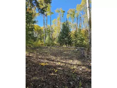 259 Mill Run Rd, Mosca, CO 81146 photo 3