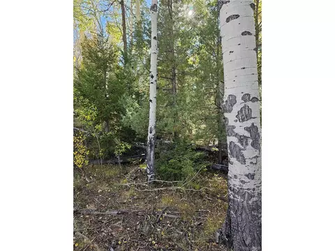 259 Mill Run Rd, Mosca, CO 81146 photo 8