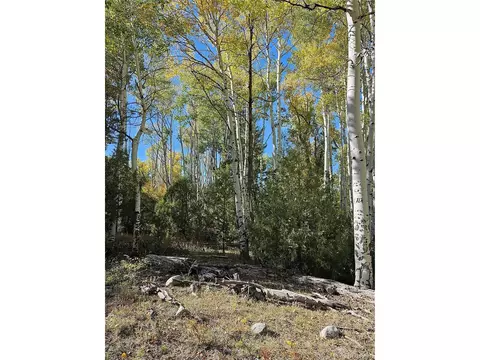 259 Mill Run Rd, Mosca, CO 81146