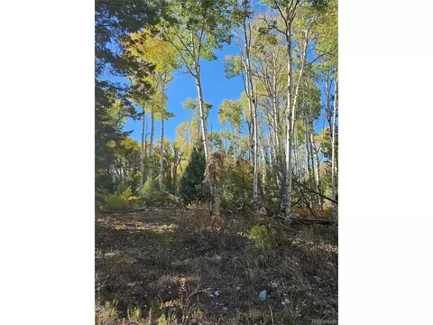 259 Mill Run Rd, Mosca, CO 81146 photo 10