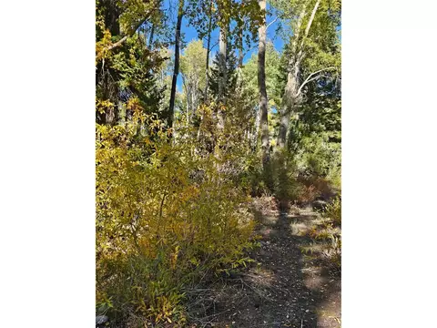 259 Mill Run Rd, Mosca, CO 81146 photo 4