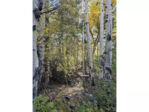 259 Mill Run Rd, Mosca, CO 81146 photo 6
