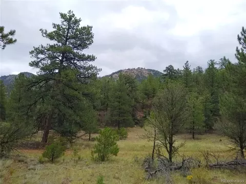 0 Gold Pan Trl, Cotopaxi, CO 81223