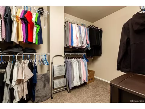 349 Mt Bross Ave, Severance, CO 80550 photo 22