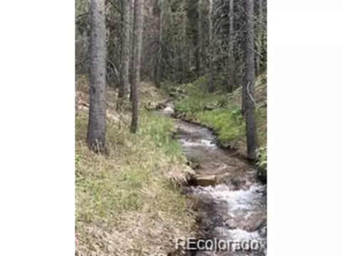 Other - 30 Carroll Ct, Black Hawk, CO 80422 photo 7 of 8