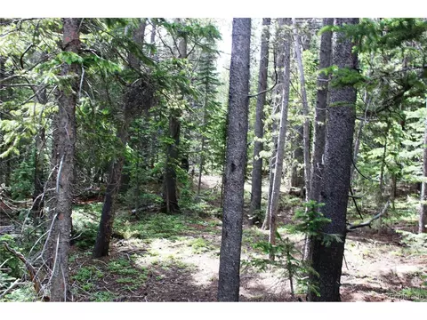 209 Upper Forest Rd, Idaho Springs, CO 80452